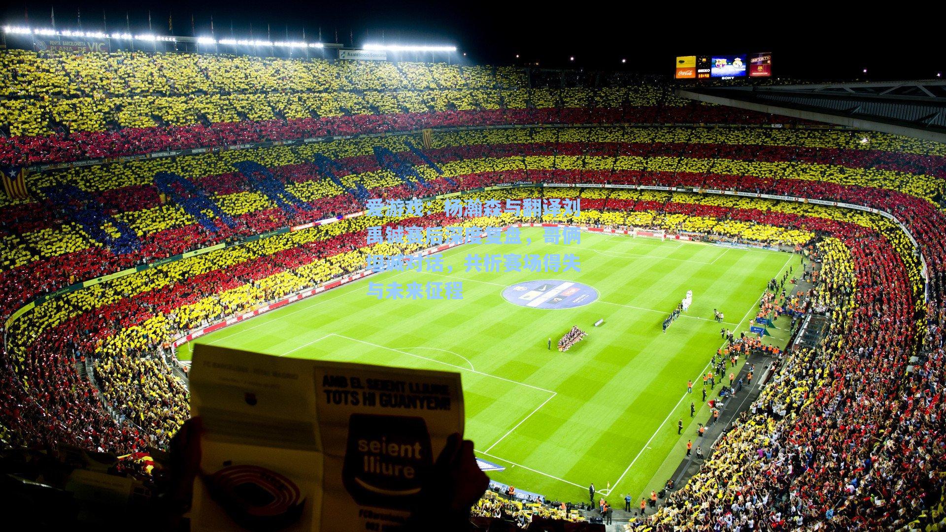 爱游戏：杨瀚森与翻译刘禹铖赛后深度复盘，哥俩坦诚对话，共析赛场得失与未来征程