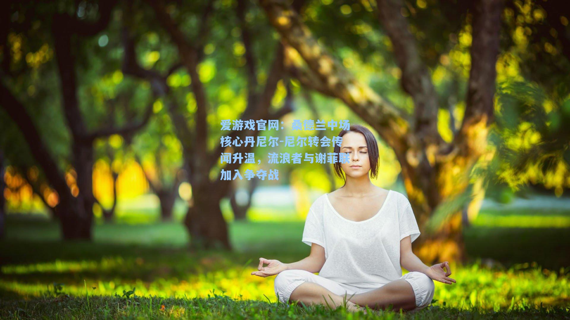 桑德兰中场核心丹尼尔-尼尔转会传闻升温，流浪者与谢菲联加入争夺战